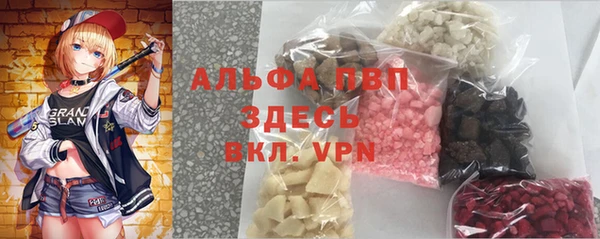 стаф Вяземский