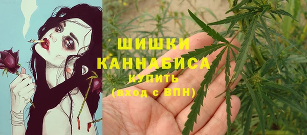 стаф Вяземский